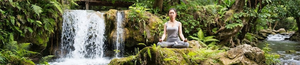 main collection banner