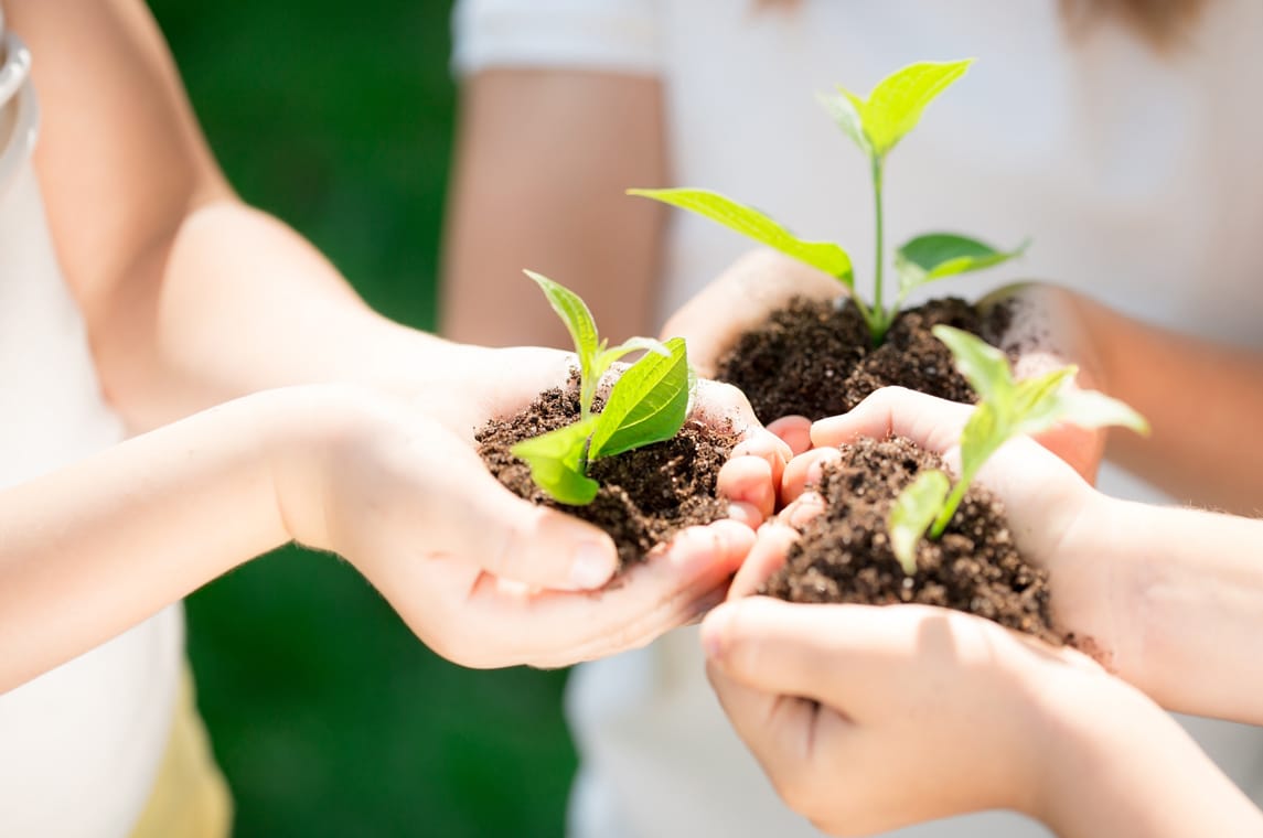 Free Webinar: Ayurvedic Wisdom for Global Health