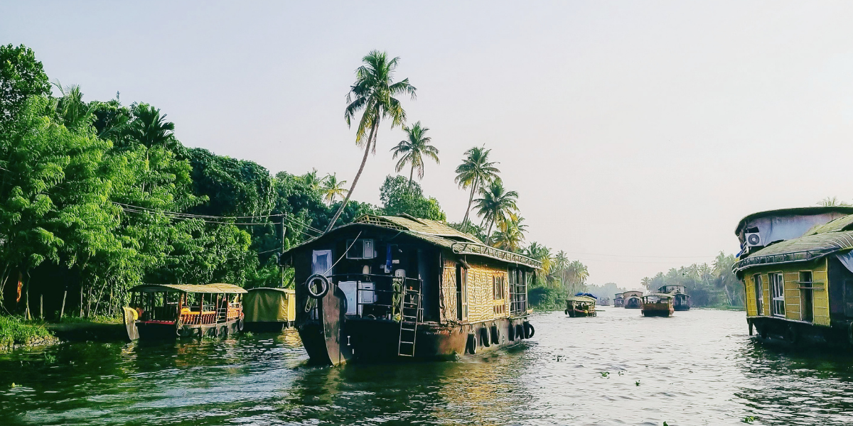 Journey to the Heart of Ayurveda: What It Means to Learn Where It All Began