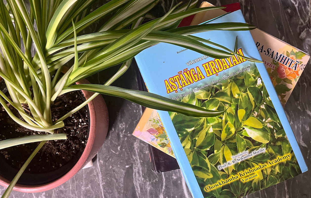 Finding life balance while studying Ayurveda