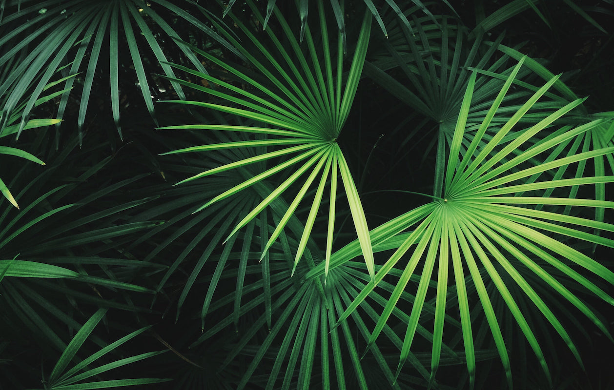 Reaching the Asian & Pacific Islander community: interview with July (Su-Yen) Huang Part 2