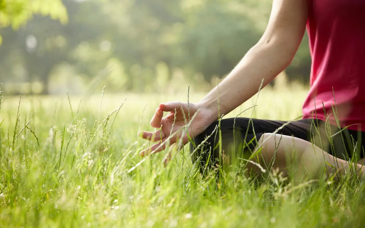 Integrating Ayurveda and Yoga for the Ultimate Wellness Practice