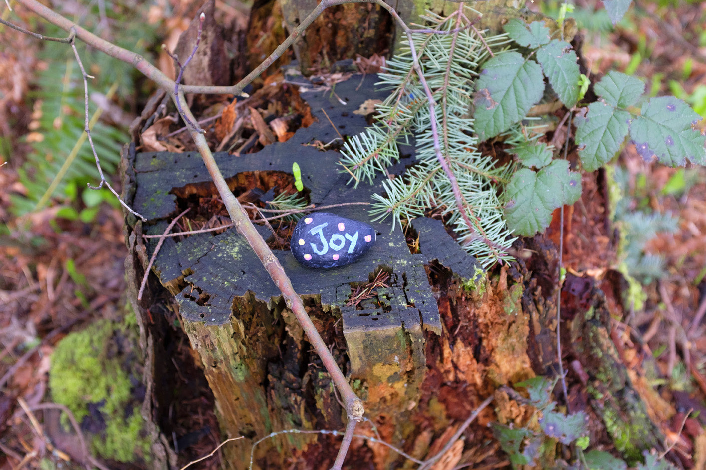 12 tips for Ayurvedic professionals on how to operate during the pandemic