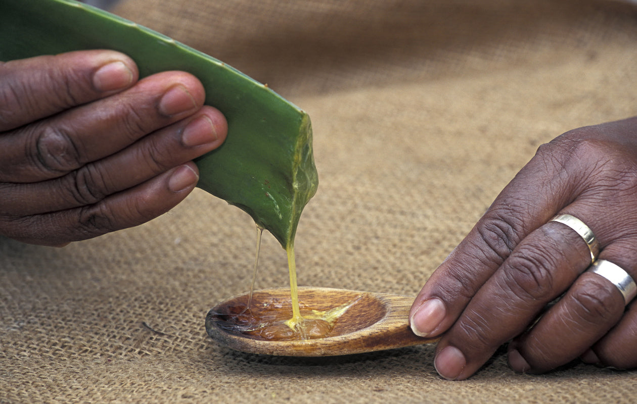 Ayurvedic plant medicine: a consciousness based science