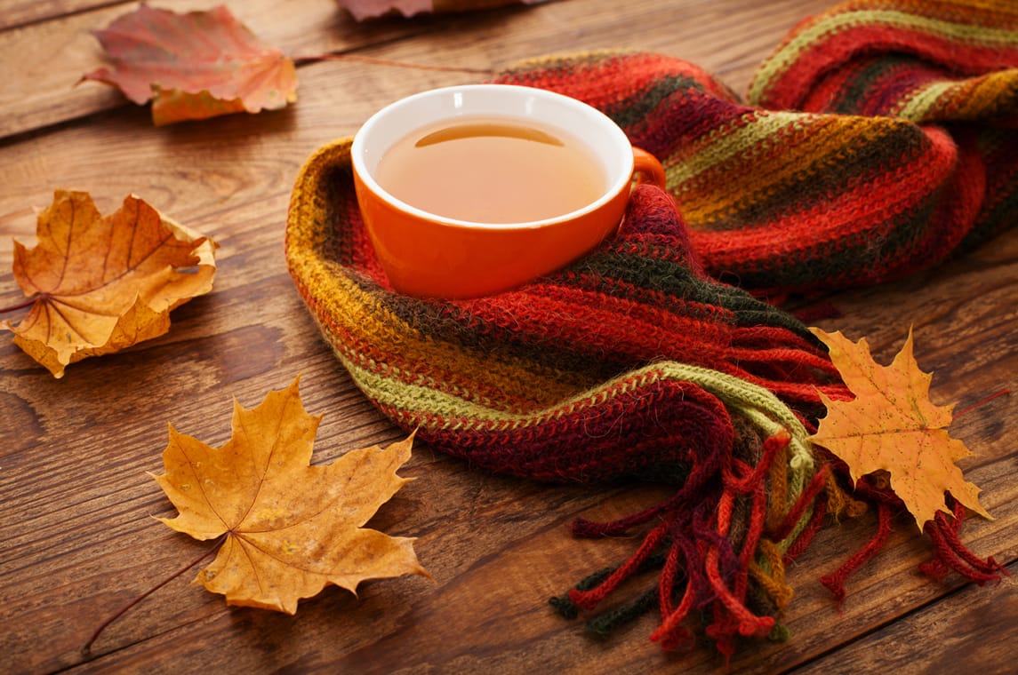 Strengthen your system for autumn