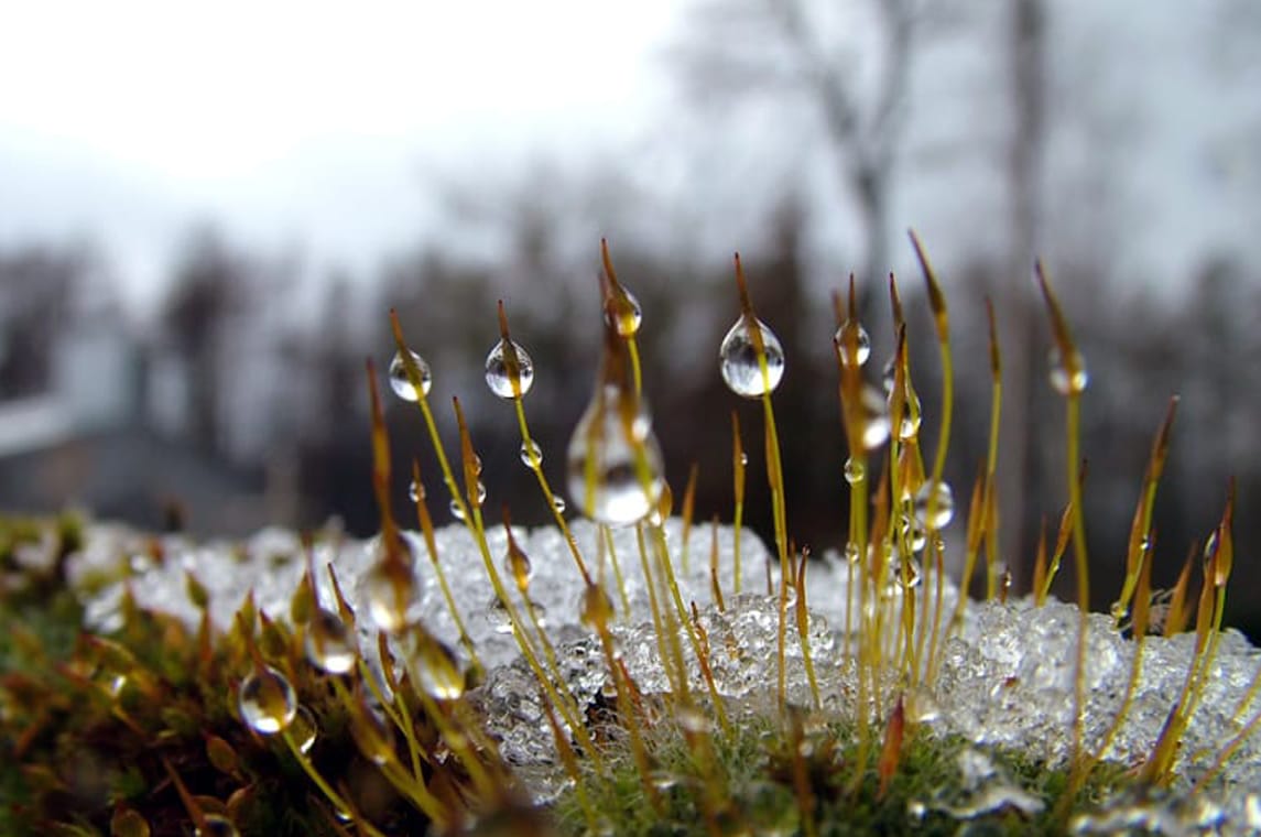 6 signs it’s time to cleanse