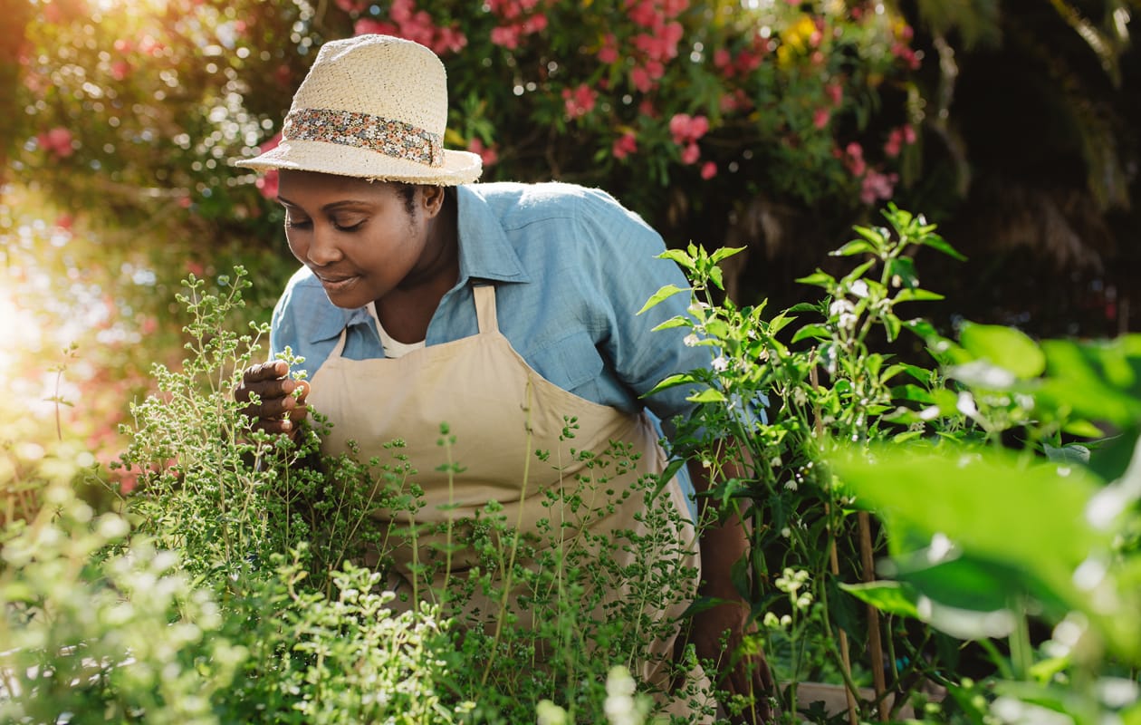 Upgrade Your Life with a Level I Ayurvedic Training