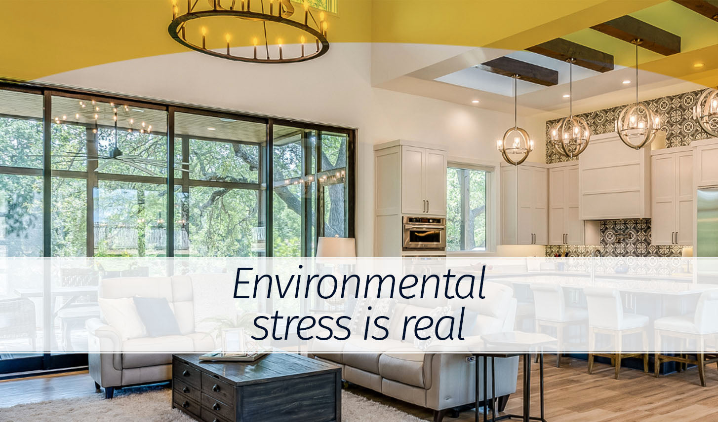 5 Signs Your Environment May Be Affecting Your Wellbeing