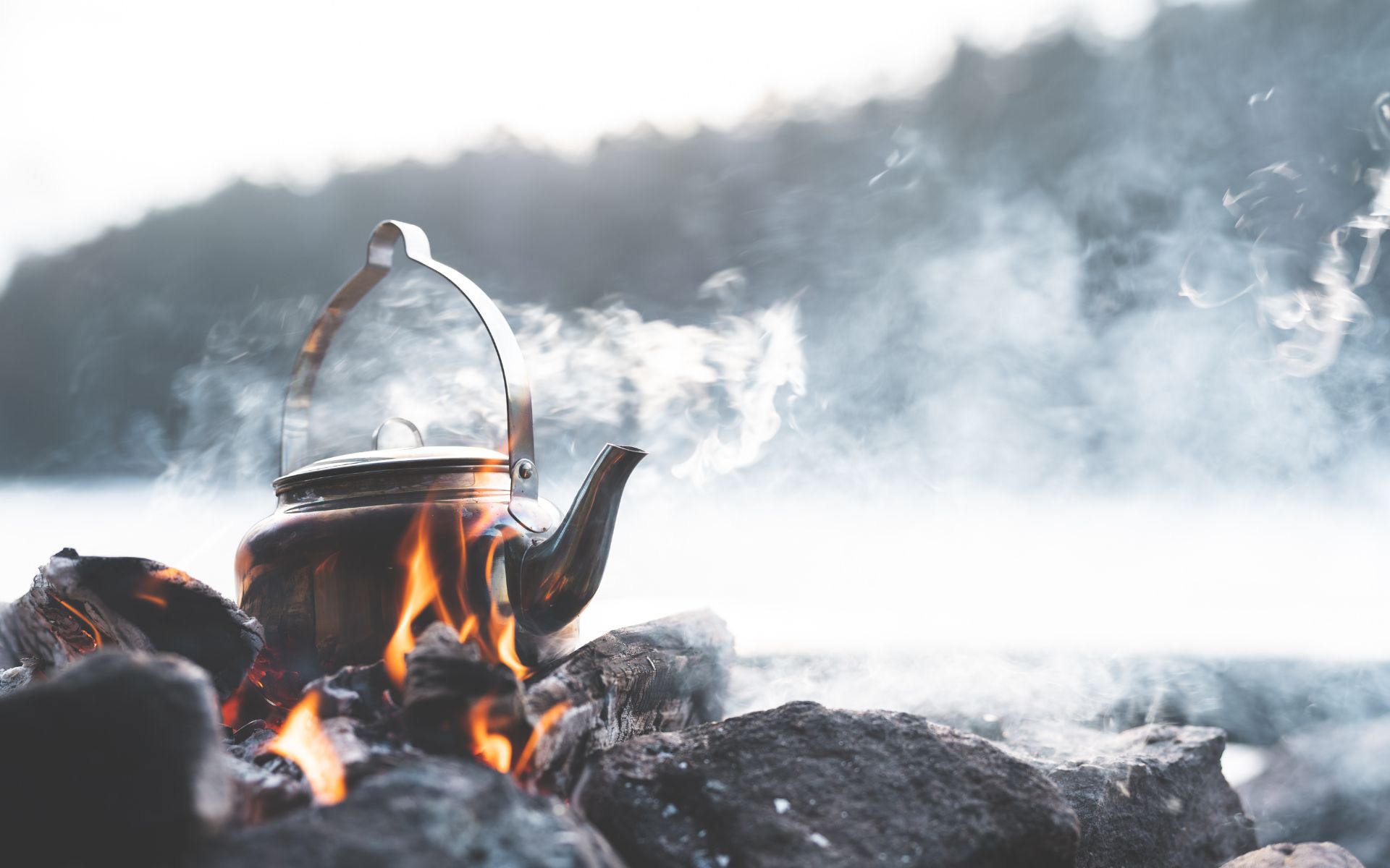 Agni: the force behind digestion and metabolism