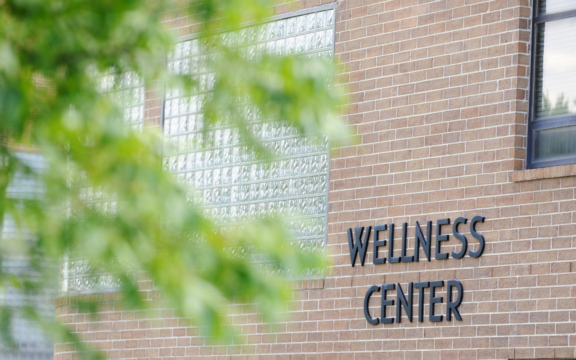 Career Opportunities in Ayurveda