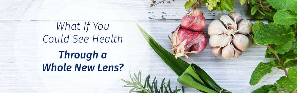 Master Ayurvedic  & Counselor Program Overview kerala-ayurveda-academy