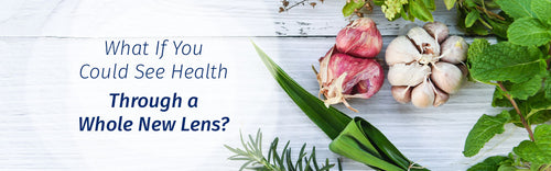 Ayurvedic Coach & Counselor Program Overview