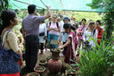 Herbal Gardens & Product Factory Tour