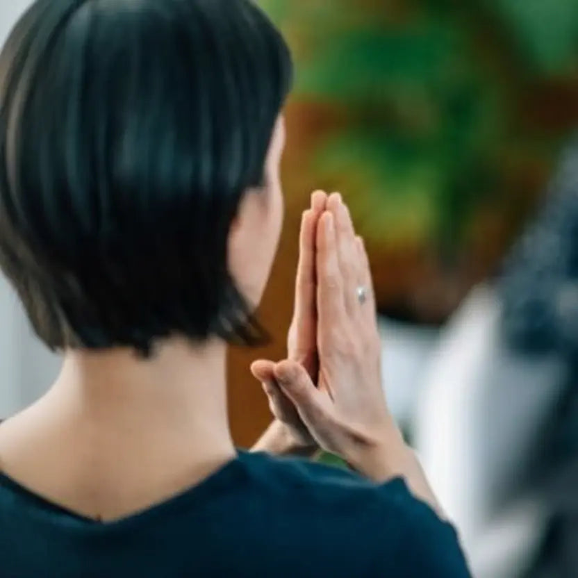 Level I Ayurvedic Health Counselor (AHC) kerala-ayurveda-academy