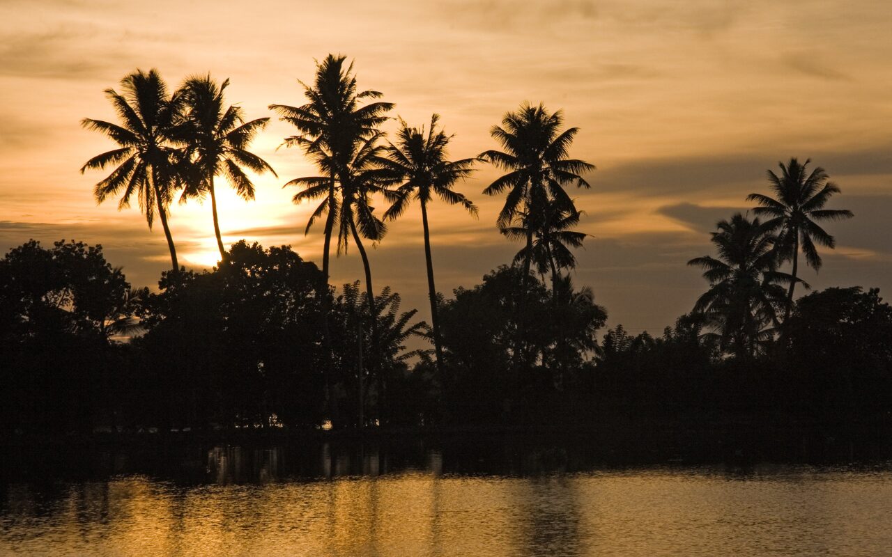 main collection banner