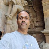 Sathya Narayanan Raman