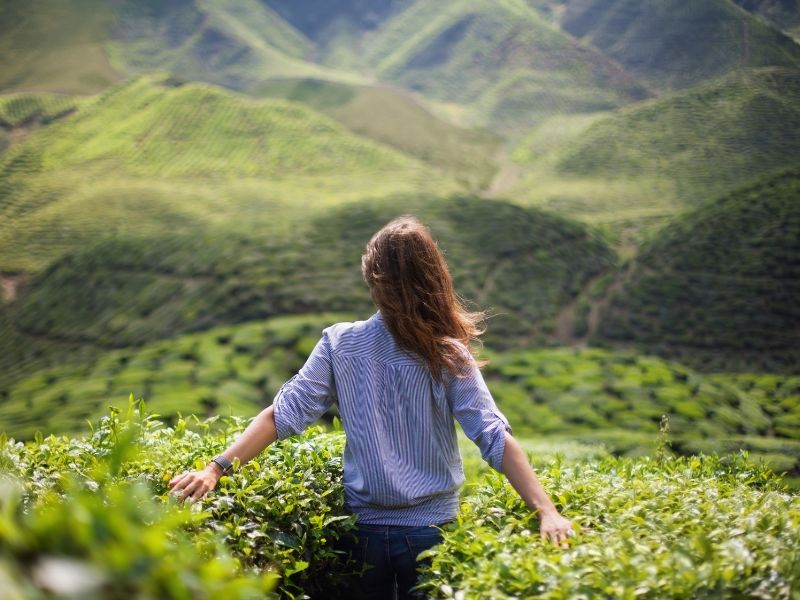 Explore the India Immersion Journey