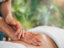 Advanced Ayurvedic Purification and Panchakarma