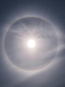 1. Aligning with the Forces of Nature