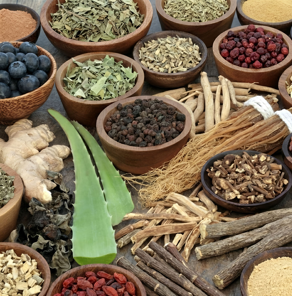 Vedic Formulations: Clinical Applications kerala-ayurveda-academy