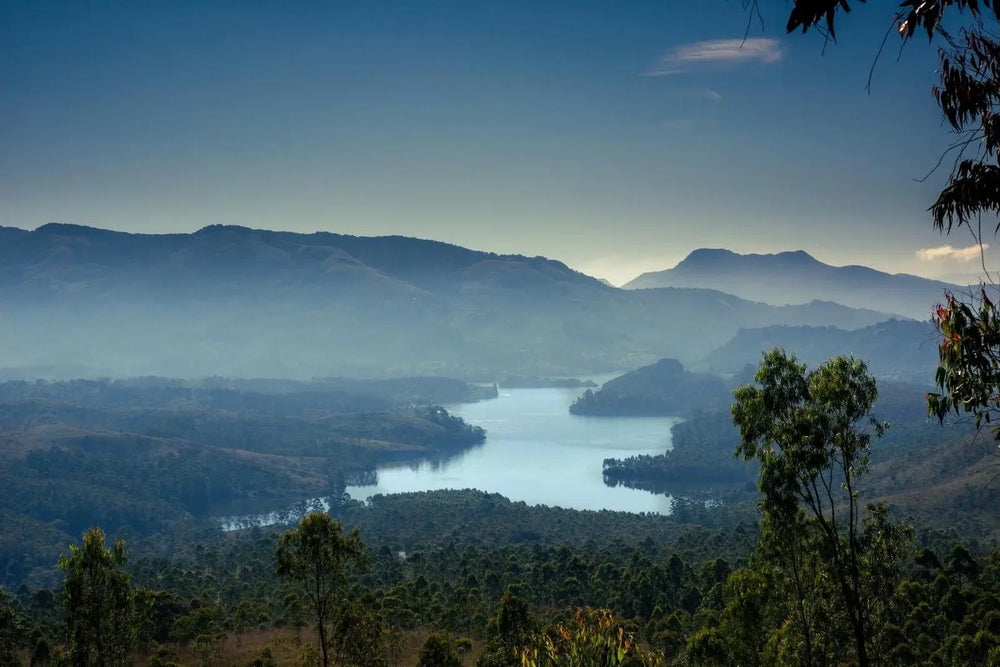 Marma Therapy For Energy Healing + Principles of Ayurveda